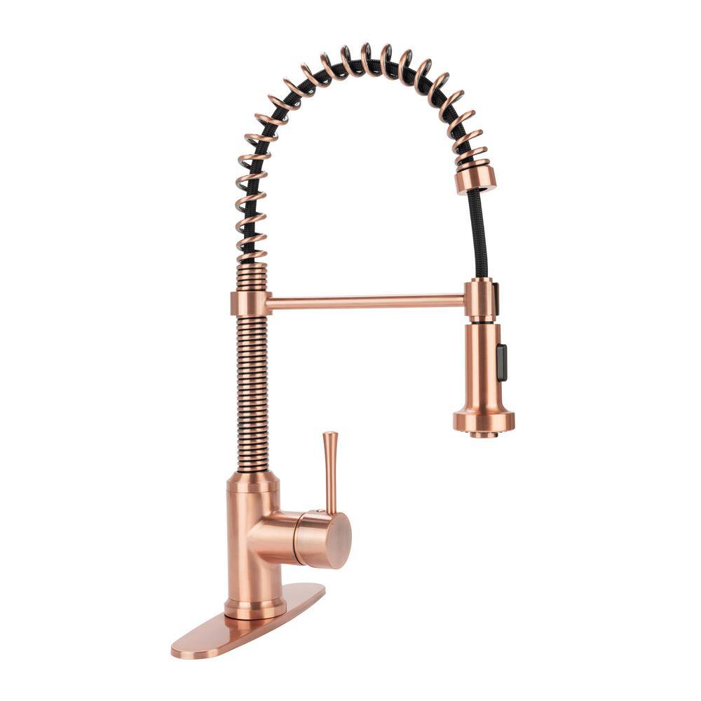 Fontaine by Italia Single-Handle 1 or 3 Hole Residential Pull-Down Sprayer Kitchen Faucet with 2-Spray Heads in Antique Copper N96565FC-DP-AC