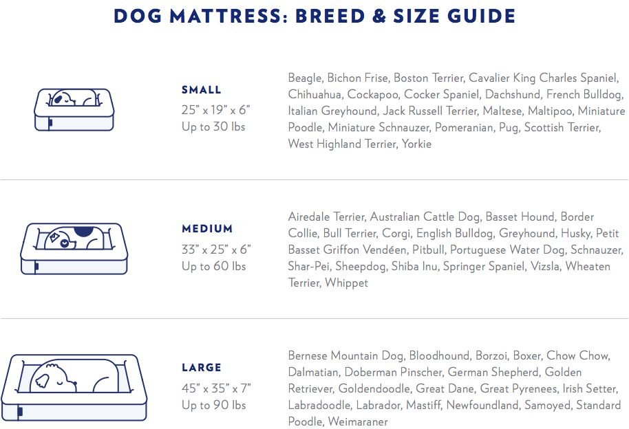 Casper Bolster Dog Bed