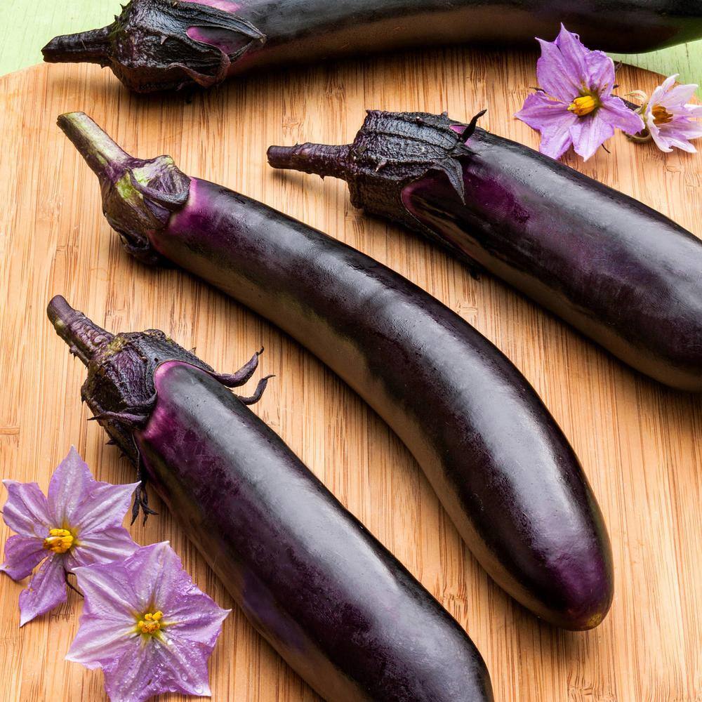 Bonnie Plants 19 oz. Ichiban Eggplant Plant 2601