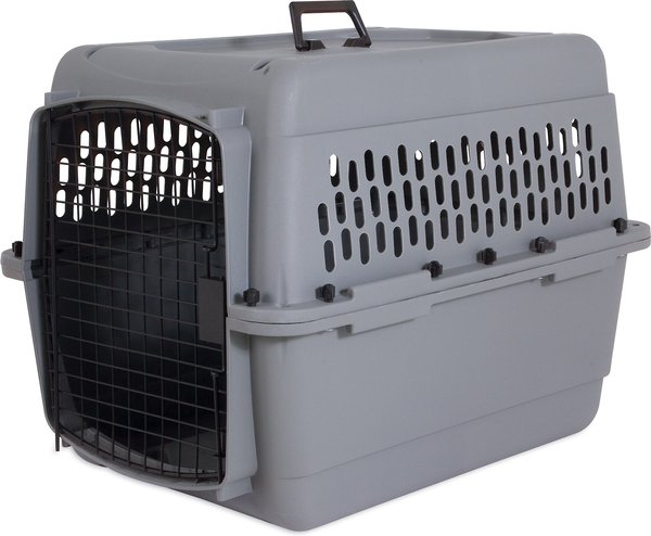 Aspen Pet Traditional Dog and Cat Carrier， Light Gray