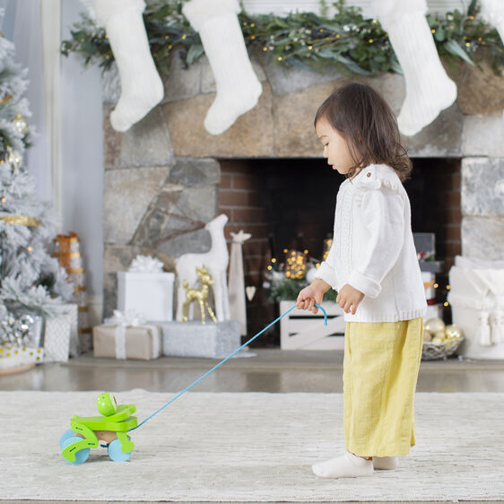 Melissa and Doug - Frolicking Frog Pull Toy