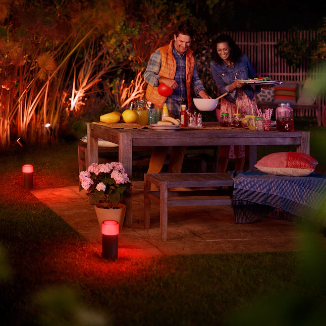 Philips Hue Calla White and Color Ambiance Outdoor Smart Pathway light extension (Hue Hub and Base Kit)， 1 Hue White and Color Pathway light + mounting kit， Works with Alexa， HomeKit and Google Assistant