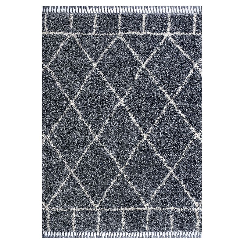 Mercer Shag Plush Tassel Moroccan Geometric Trellis Area Rug