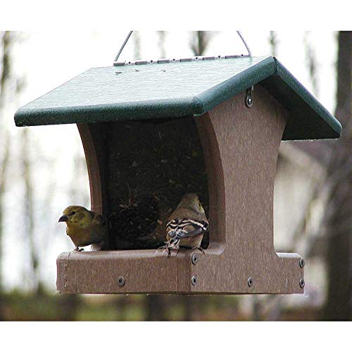 Birds Choice SN100 Two-Sided Hopper Feeder， Recycled Hanging Bird Feeder， Small， Taupe/Green