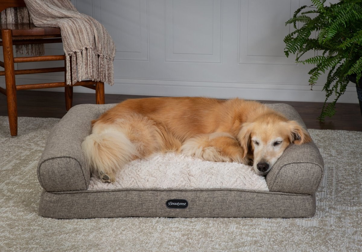 Beautyrest Luxe Lounger Cat and Dog Bed