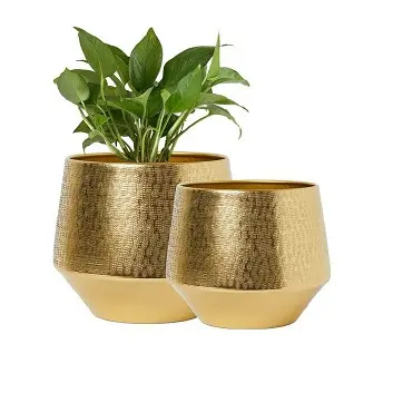 Tabletop Metal Planters for Garden Wedding and Party Decorative Pots for Garden Plants Decoration