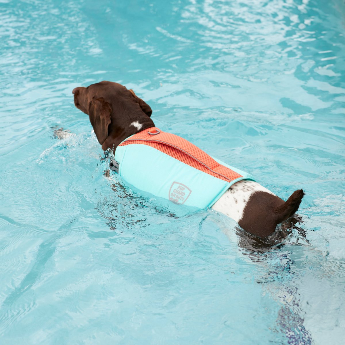 Frisco Active Dog Life Jacket