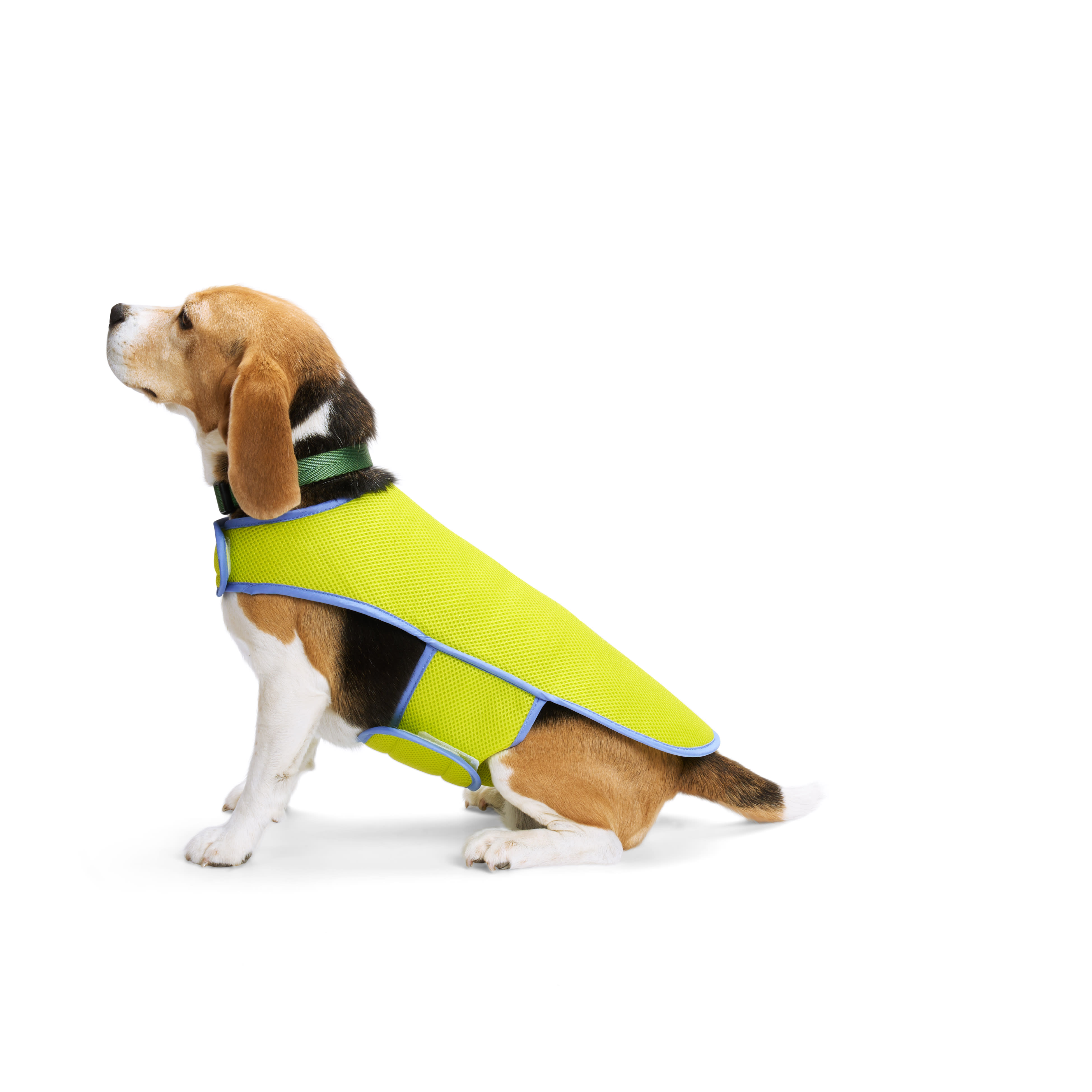 YOULY Yellow Cooling Dog Vest， X-Small