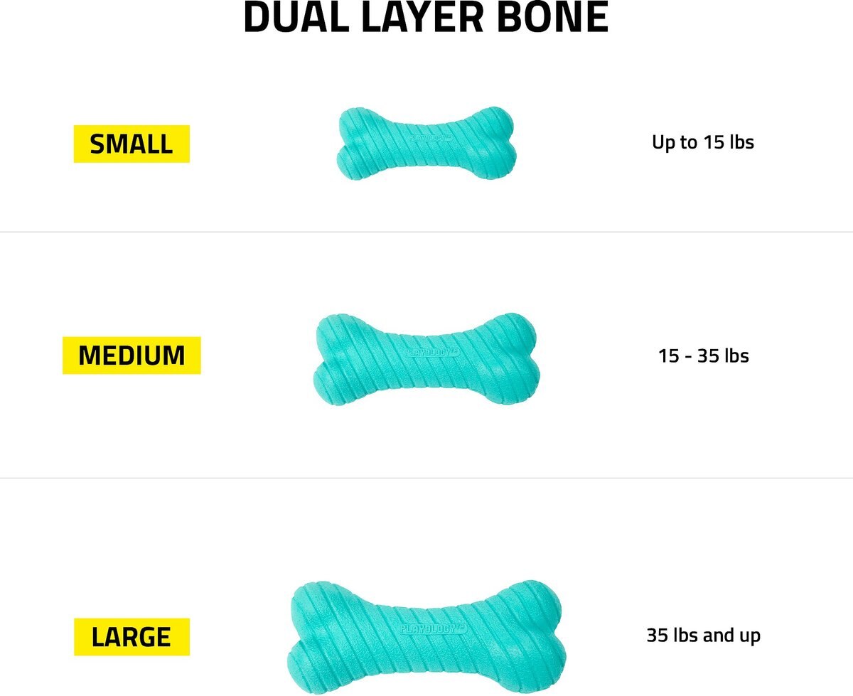 Playology Scented Dual Layer Bone Dog Toy