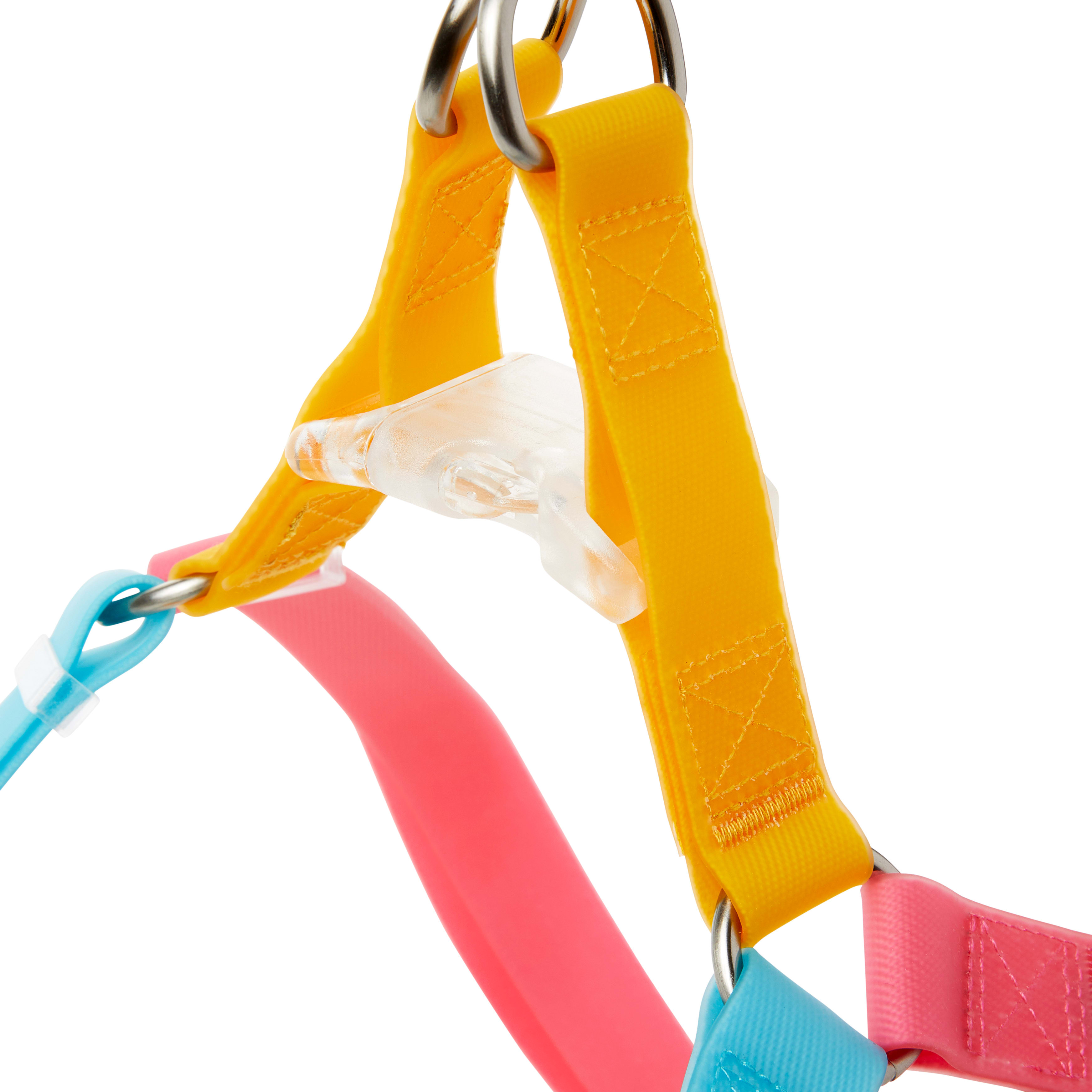 YOULY The Extrovert Water-Resistant Colorblocked Dog Harness， Small