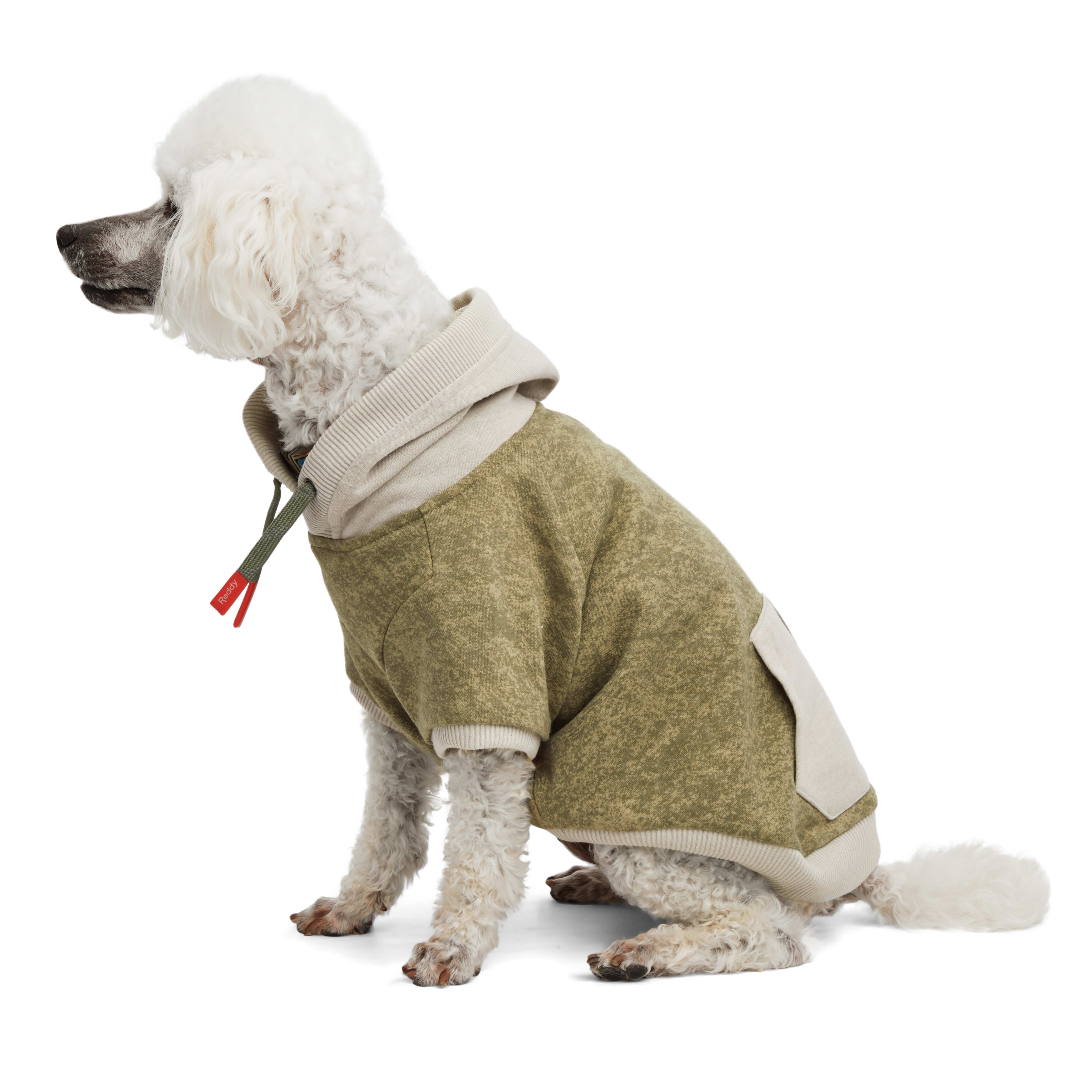 Reddy Olive and Grey Washed Dog Hoodie， X-Small