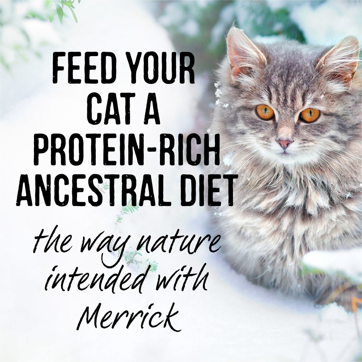 Merrick Backcountry Grain-Free Morsels in Gravy Real Rabbit Recipe Cuts Cat Food Pouches