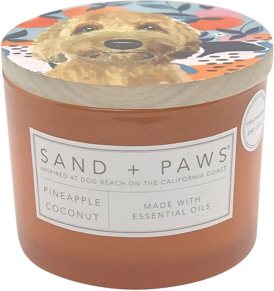 Sand + Paws Cockapoo Pineapple Coconut Scented Candle， 12-oz jar