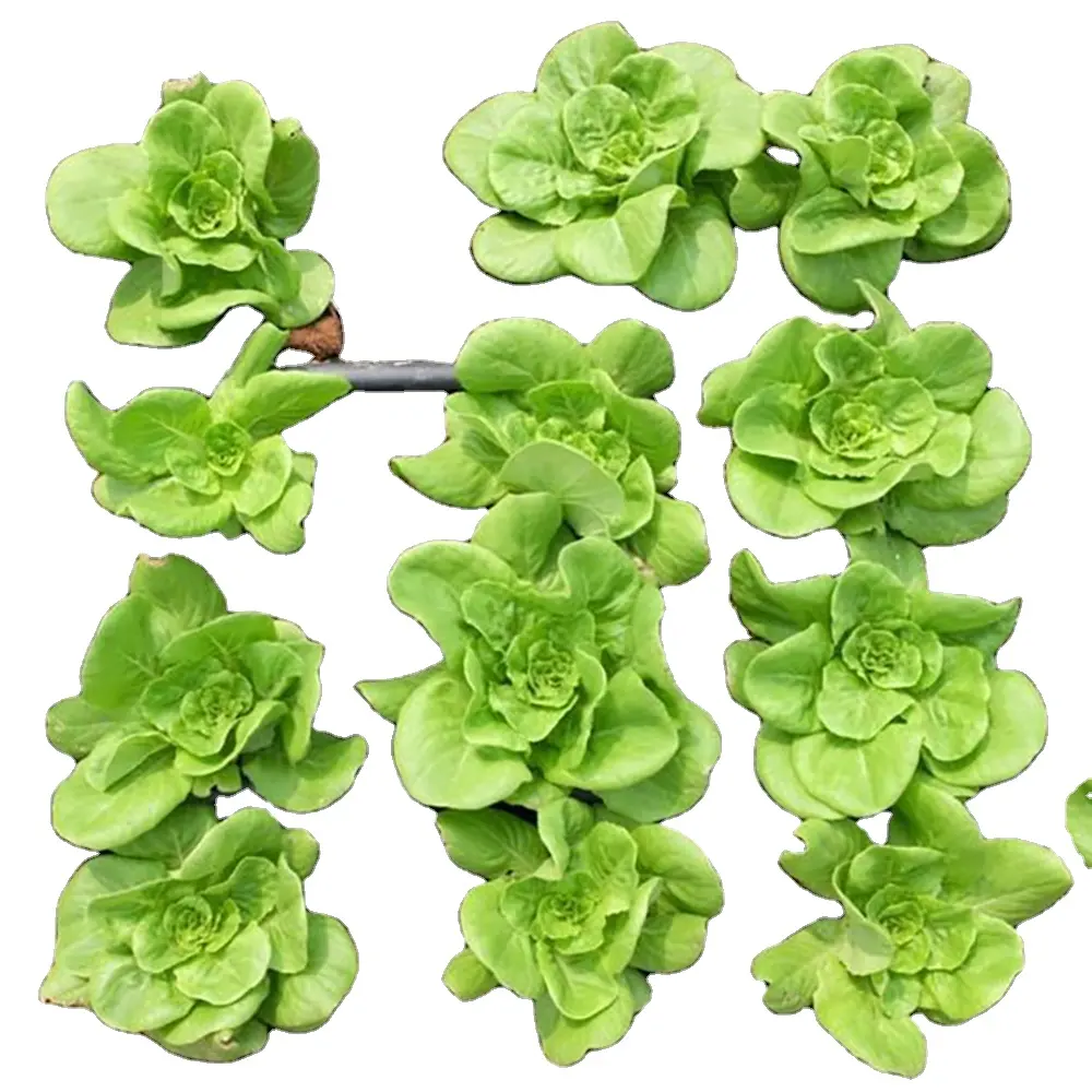 Hot sale  garden supplies 16mm drip tape for drip irrigation