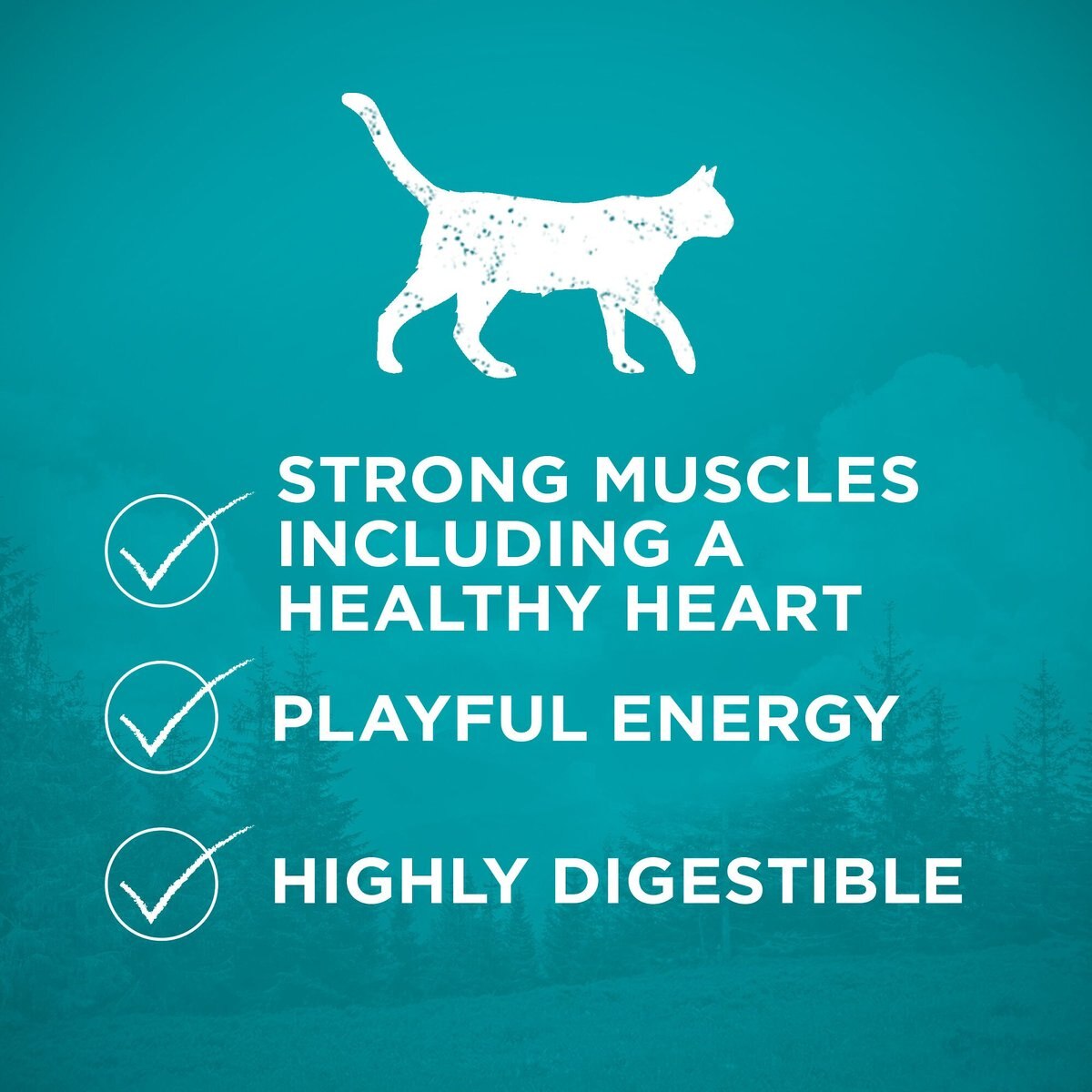 Purina ONE True Instinct Natural Real Chicken Plus Vitamins and Minerals High Protein Grain-Free Dry Cat Food