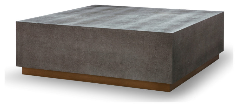 Clarence 60 quotSquare Coffee Table  Shagreen   Contemporary   Coffee Tables   by Mandalay Home Furnishings  Inc.  Houzz