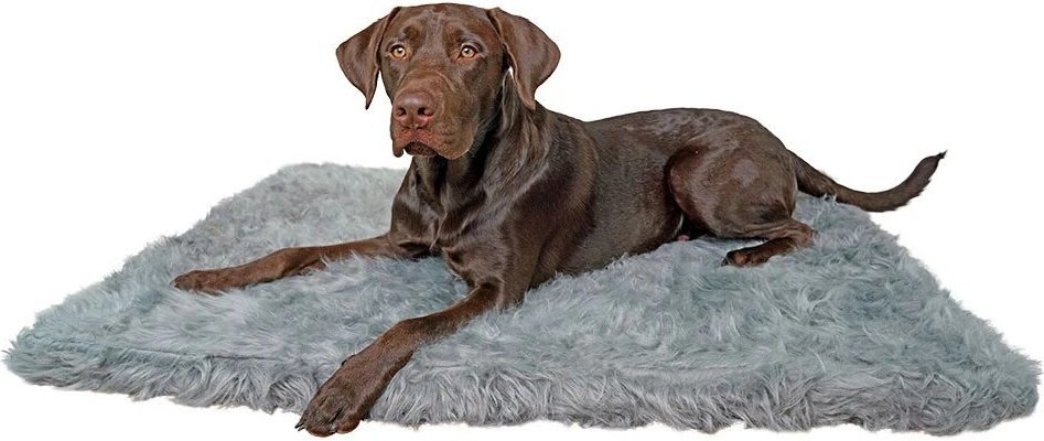 Alpha Paw OrthoPaw Memory Foam Rug Dog and Cat Bed