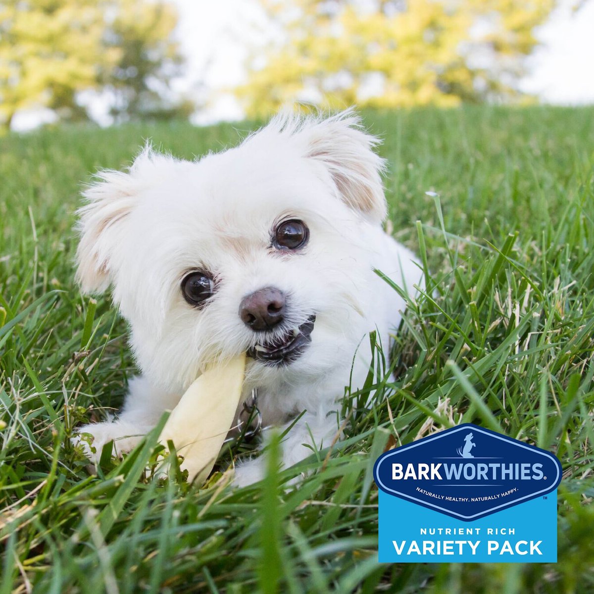 Barkworthies Puppy Variety Pack Natural Dog Chews