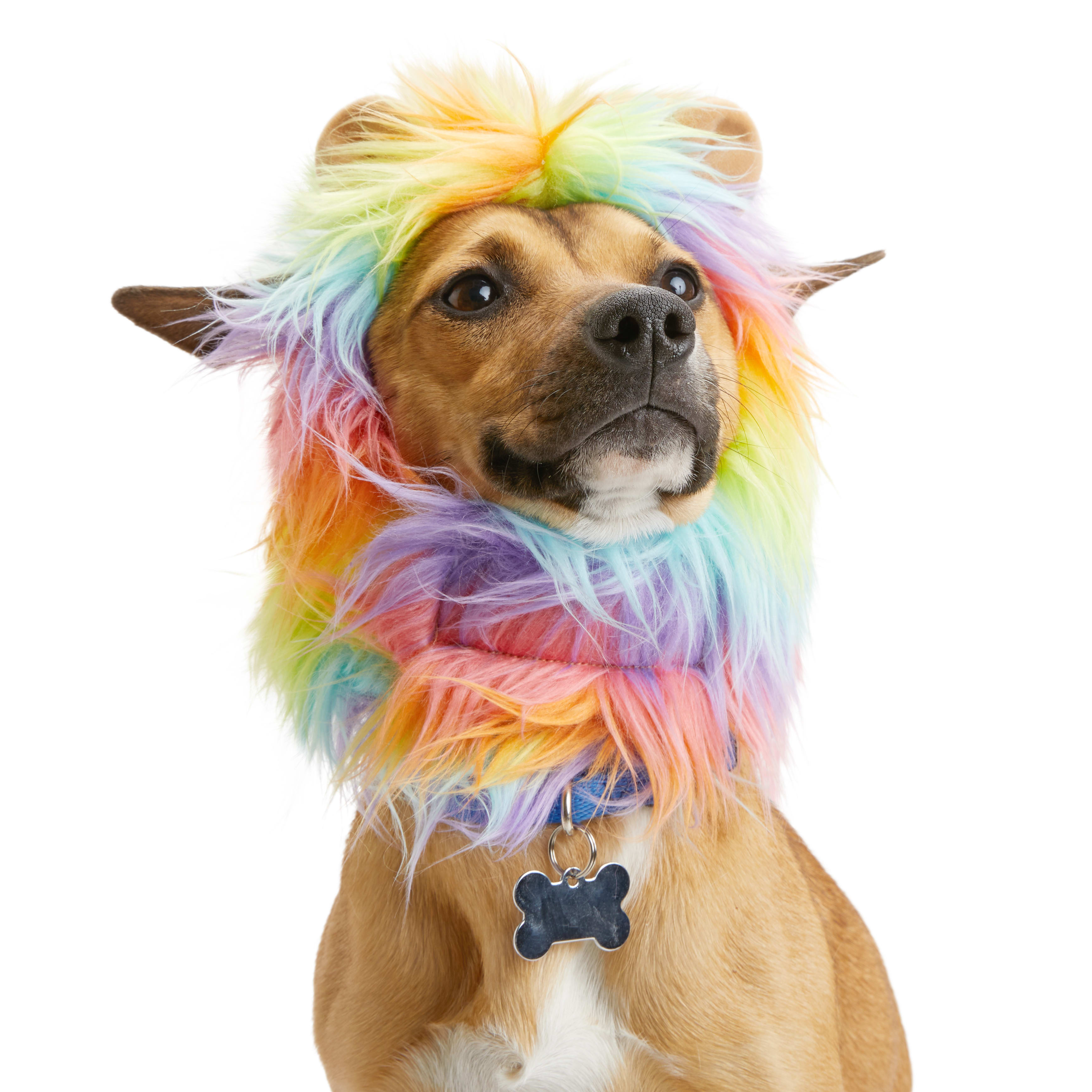 YOULY Pride Rainbow Lion Mane Dog Headpiece， X-Small/Small