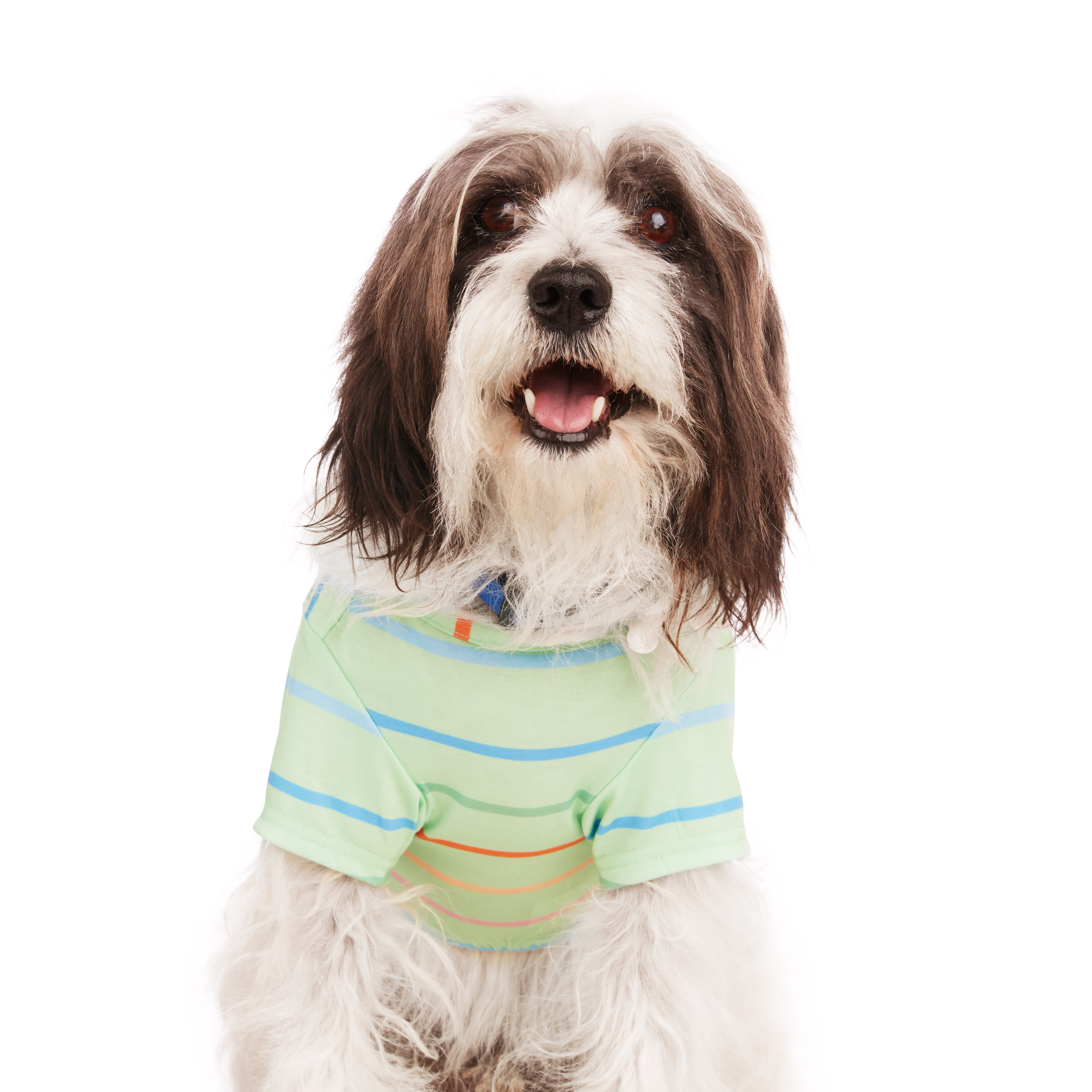 YOULY Green Striped Dog Tee， X-Small