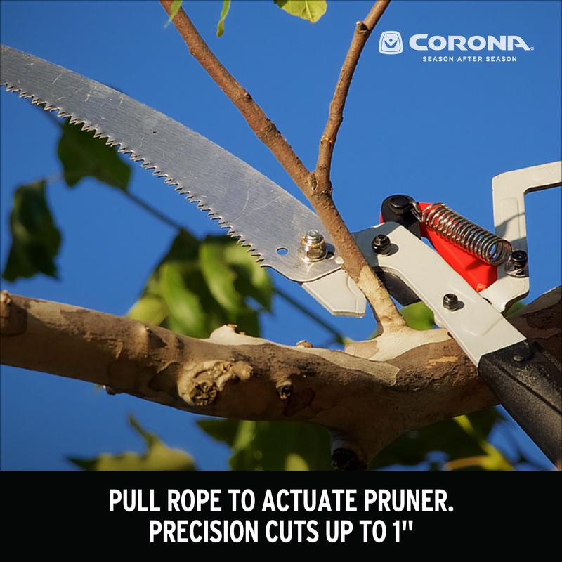 TREE PRUNER 12FT POLE