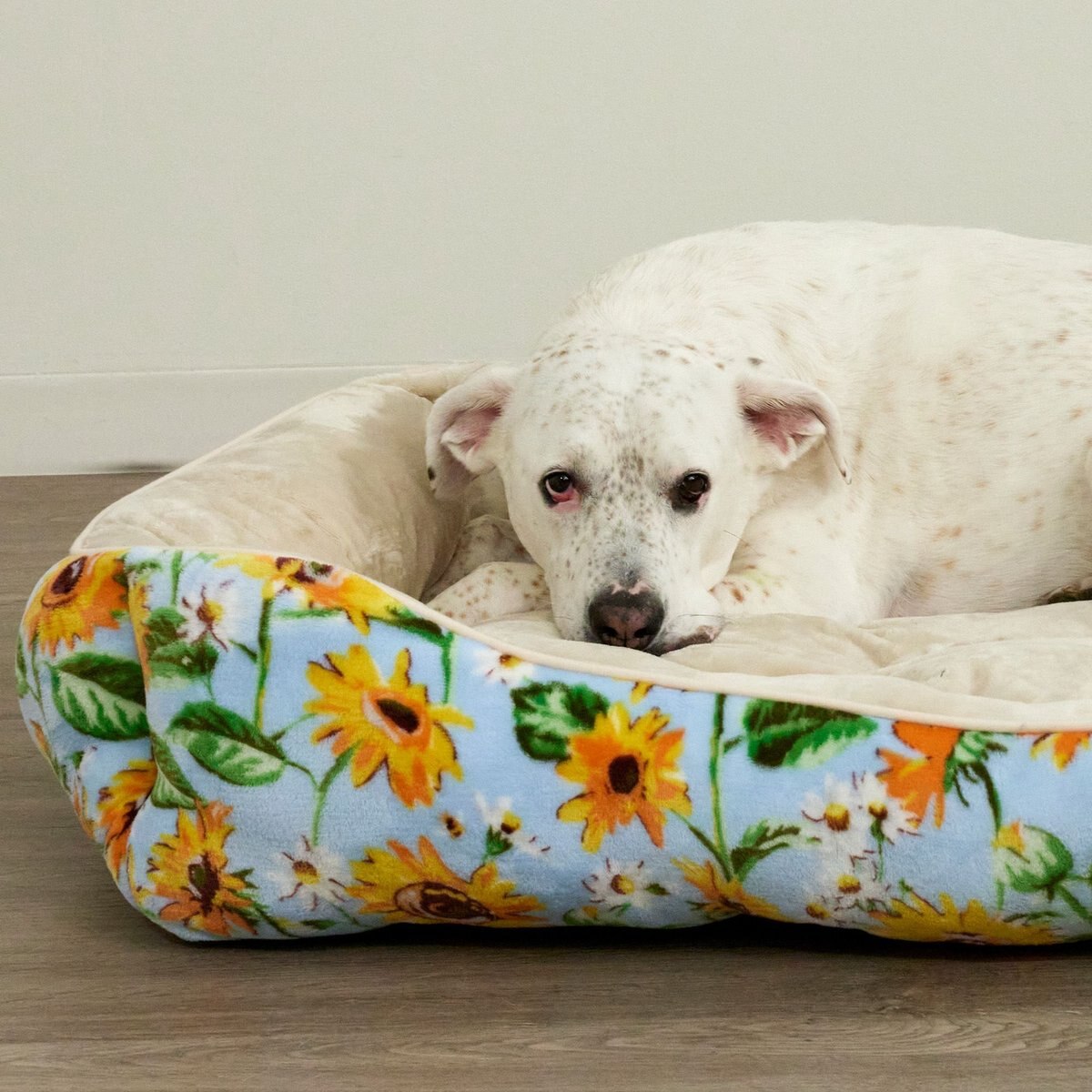 Vera Bradley Cat and Dog Bed