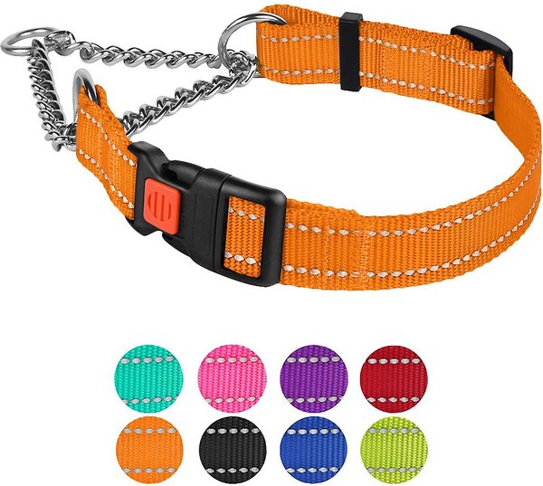 CollarDirect Nylon Reflective Martingale Dog Collar