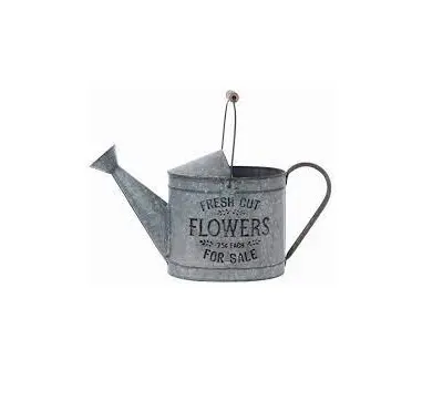 Customized Gardening Flowers Long Spout Water Kettle Galvanized Power Coated Metal Watering Can GardenPopular