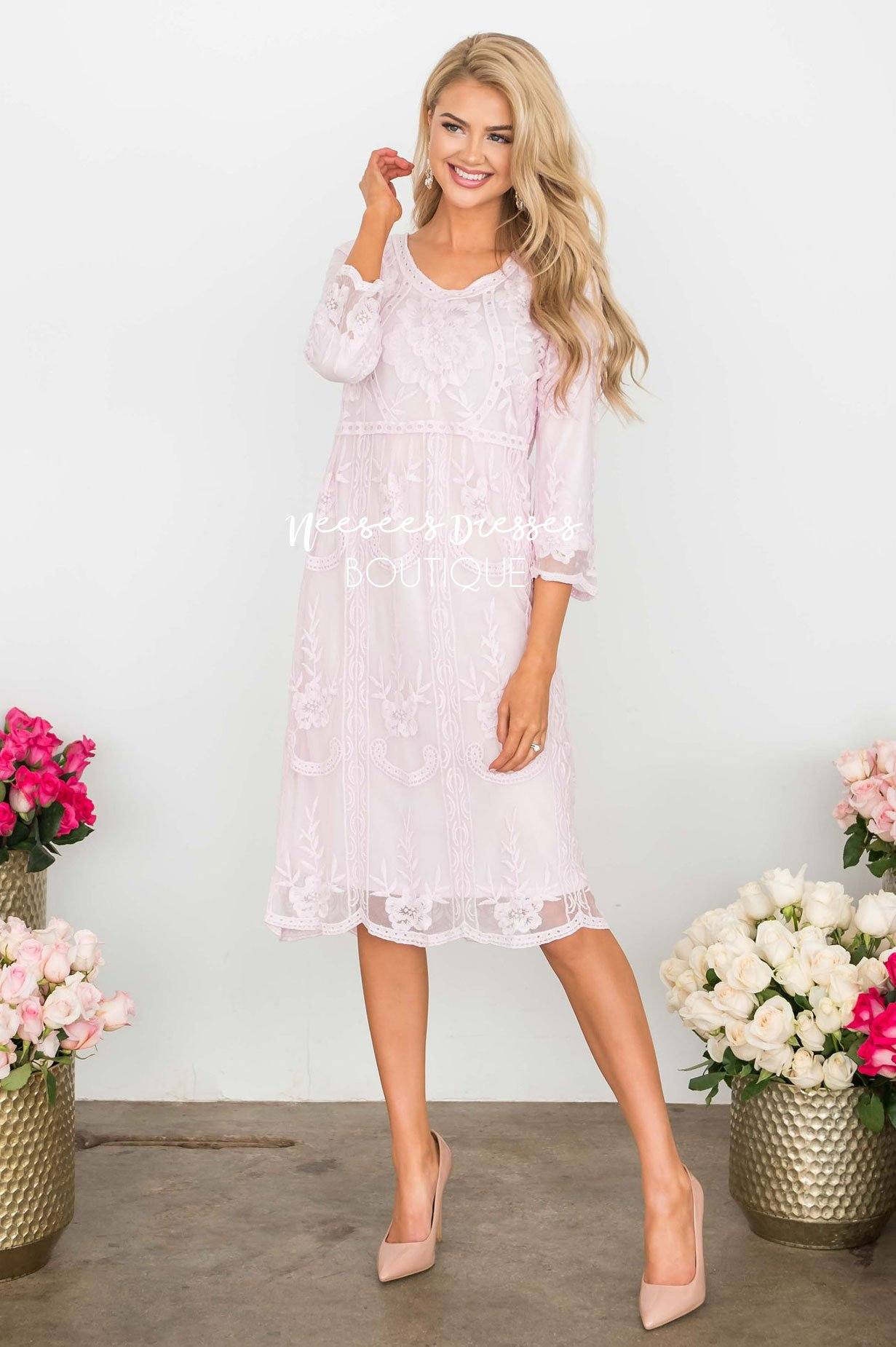 Day Dreamer Lace Dress in Pastel Pink