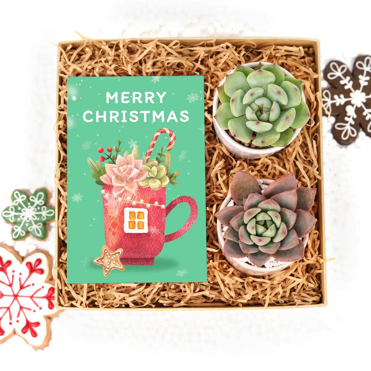 Unique And Beautiful Aesthetics Gift Boxes For Small Business Succulent Plants Candles Christmas Decoration Supplies