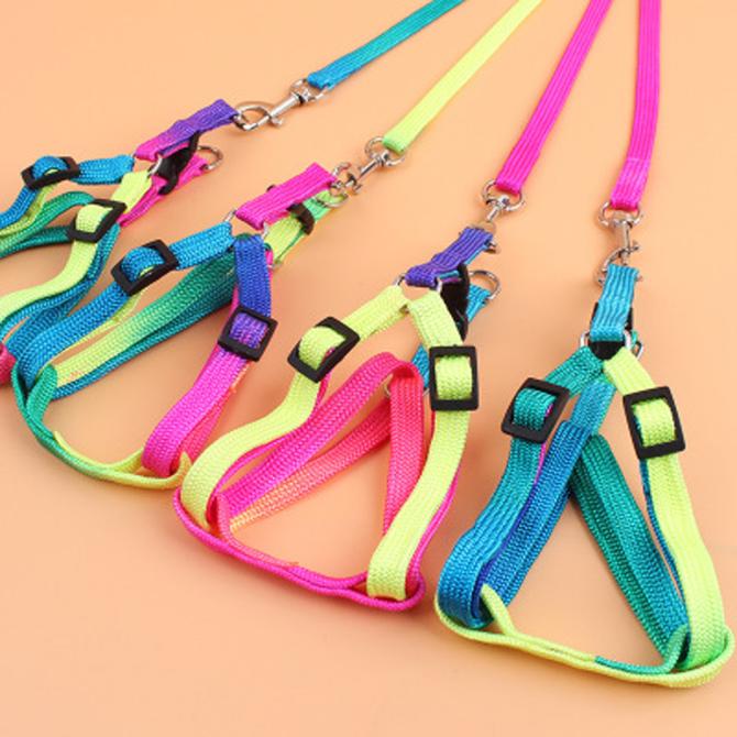 Nylon Pet Cat Dog Kitten Adjustable Colorful Harness Lead Leash Collar Belt