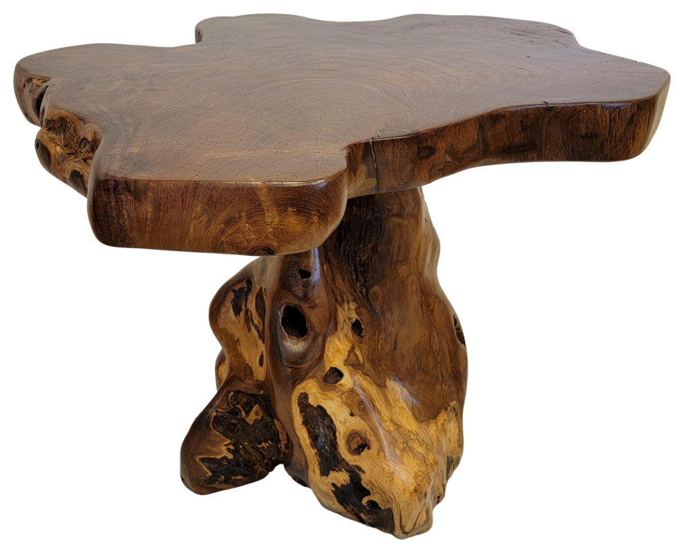 Live Edge Large Wood Accent Table 25 in Free Form Teak Root Natural Tree Trunk   Rustic   Side Tables And End Tables   by My Swanky Home  Houzz