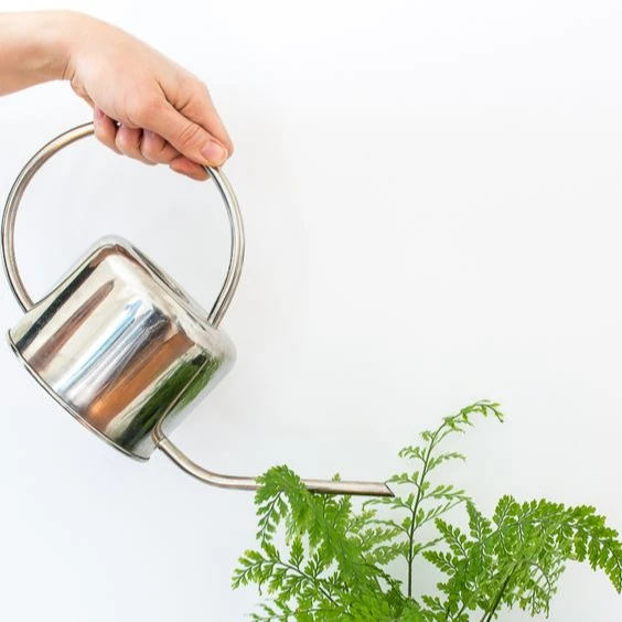 Silver Plated High Quality Garden Tools round shape Mini Water Can Safety Health Metal Watering Can wholesale price