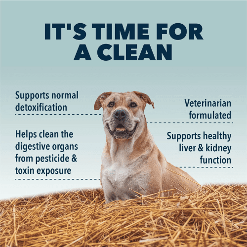 Four Leaf Rover Liver/Kidney Clean for Dogs