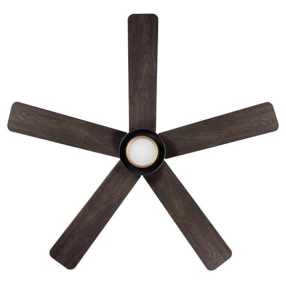 Hampton Bay Panache 52 in. LED Indoor Matte Black with Brass Accents Ceiling Fan with UplightDownlight and Remote Included 92407