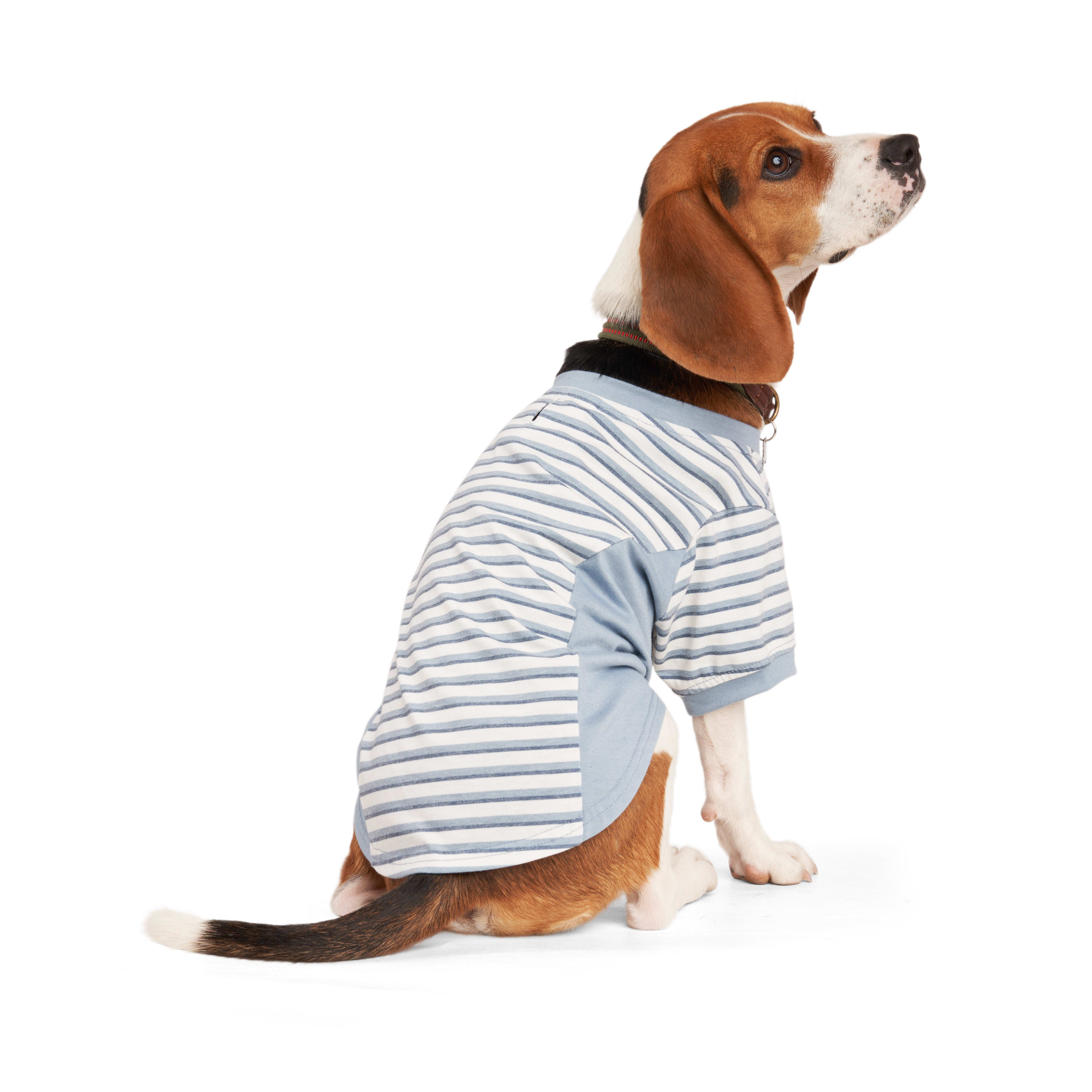 Reddy Blue Stripe Dog Tee， XX-Small