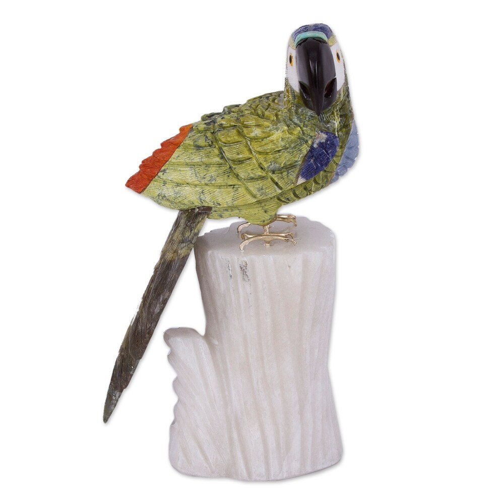 Novica Handmade Amazonian Parrot Multi Gemstone Statuette