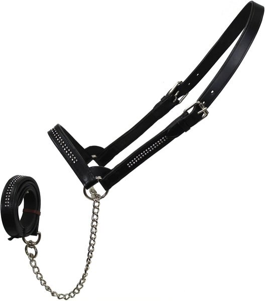 Derby Originals Premium Crystal Bling Rhinestone Inlay Flat Leather Cattle Show Halter and Chain Lead