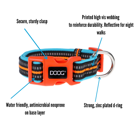 DOOG Neon Neoprene Beethoven Dog Collar