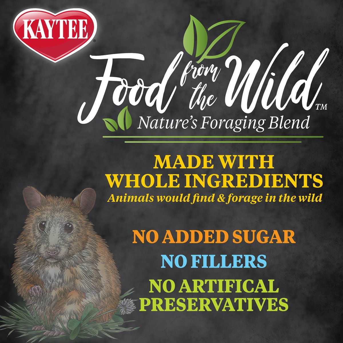 Kaytee Food From the Wild Hamster Food， 2-lb bag