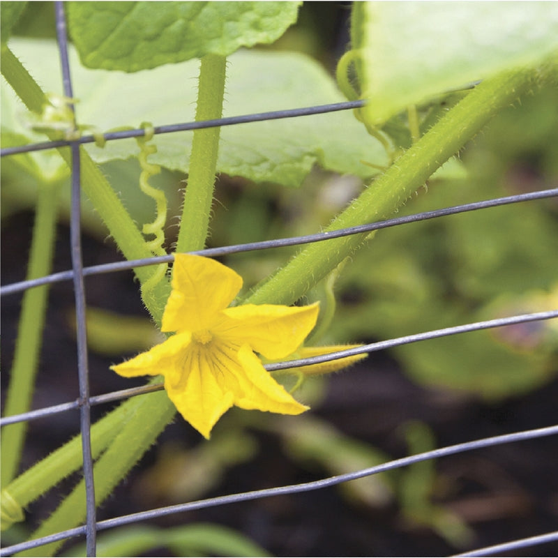 GARDEN FENCE STL28