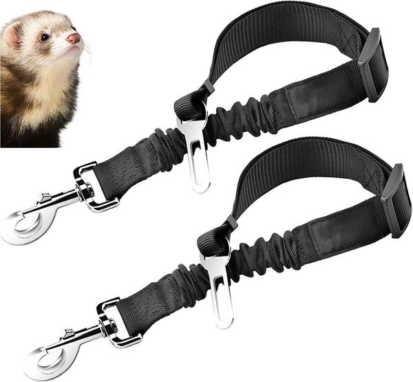 SunGrow Ferret Elastic Seat Belts， 24-36-in， 2 count