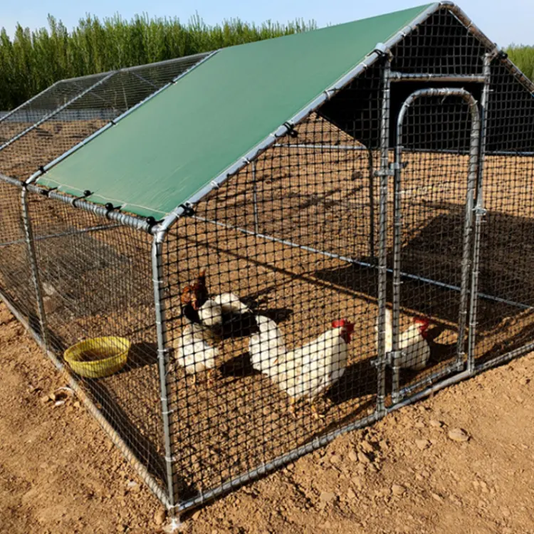 Factory supply  wild outdoor chicken house poultry garden greenhouse