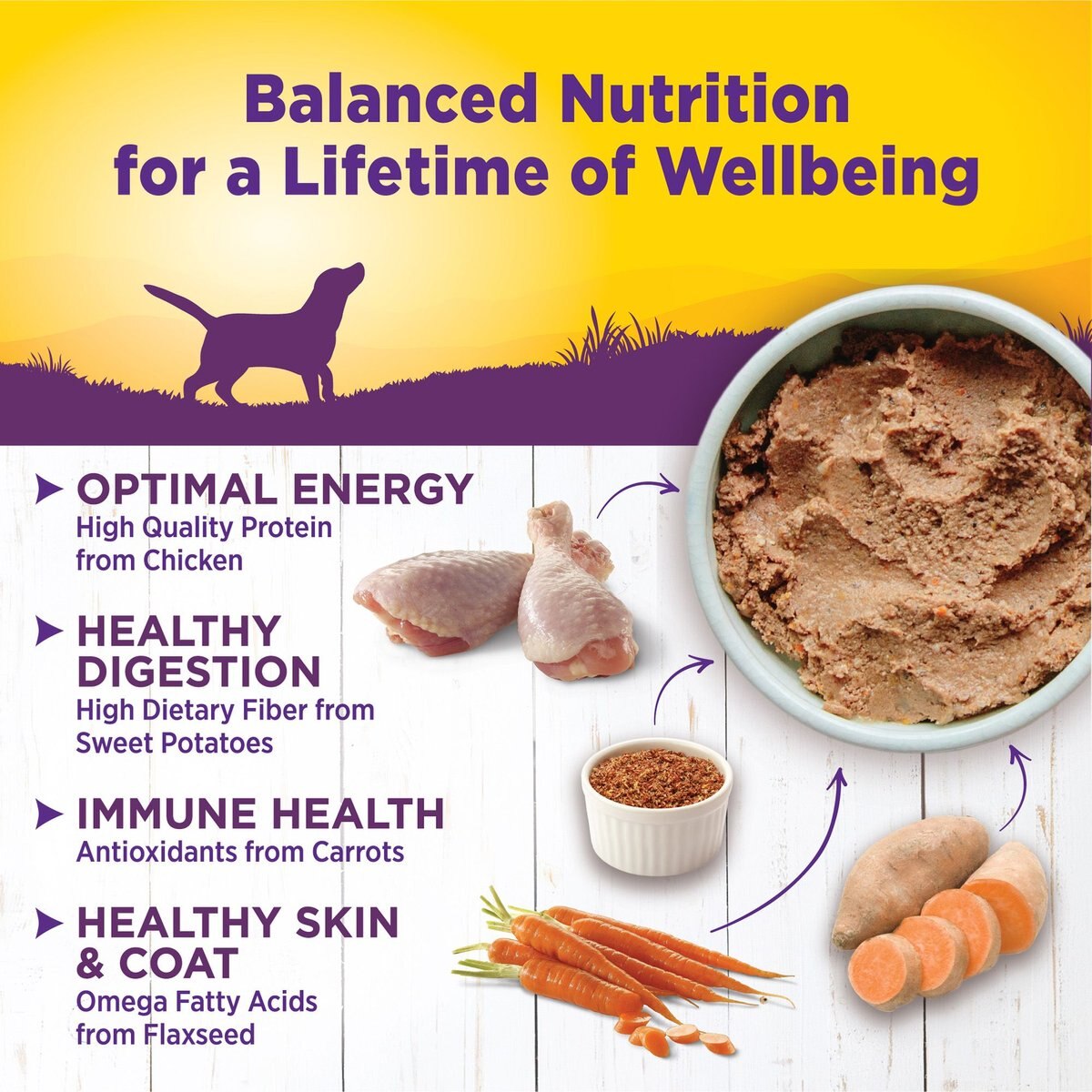 Wellness Complete Health Chicken and Sweet Potato Formula Canned Dog Food