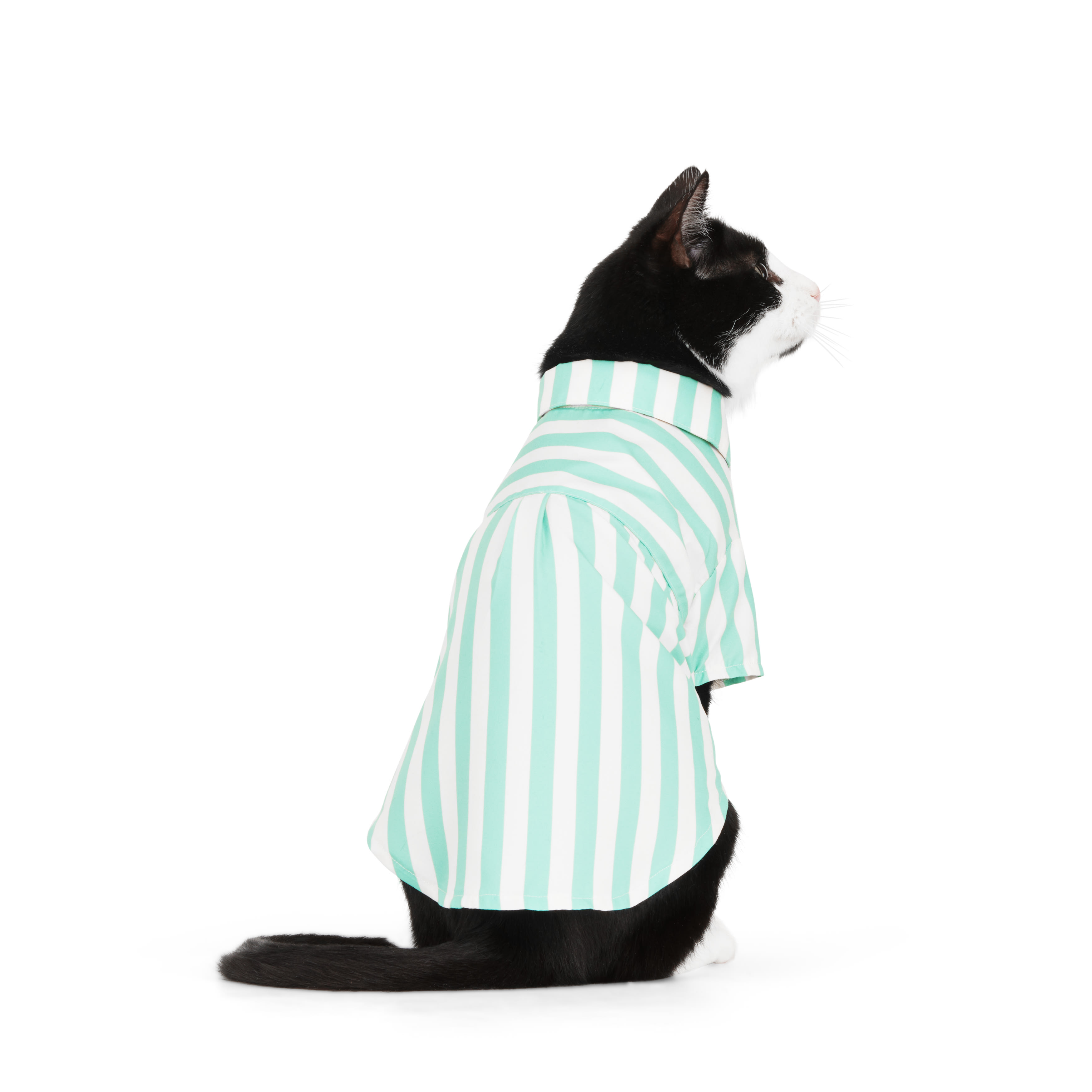 YOULY Green Stripe Shirt for Cats， Small/Medium