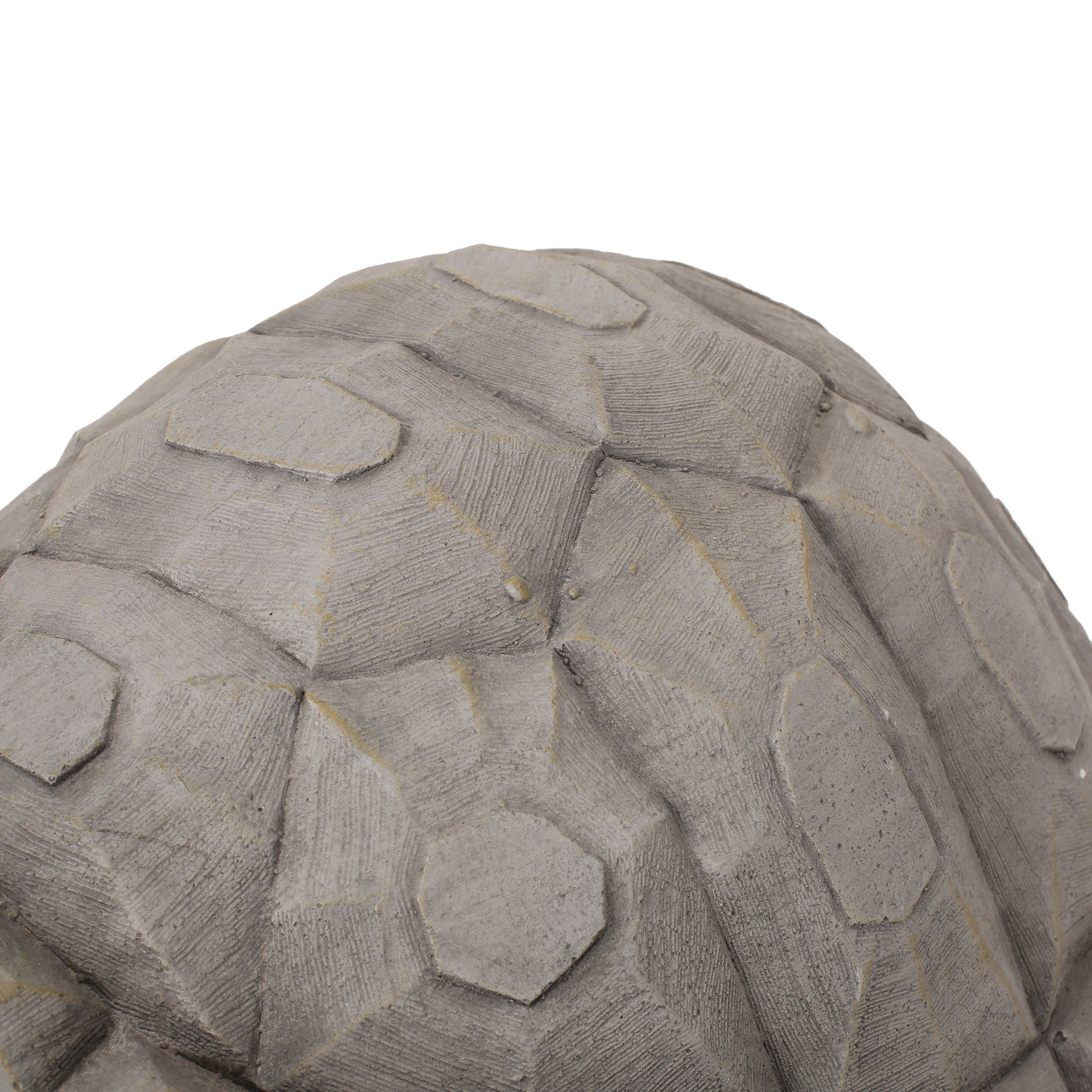 Delphos Outdoor Turtle Garden Statue, Dark Gray