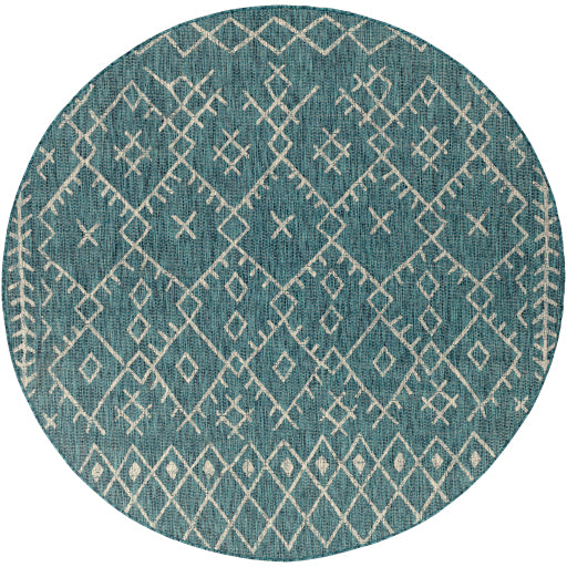 Eagean Modern Indoor/Outdoor Aqua Rug