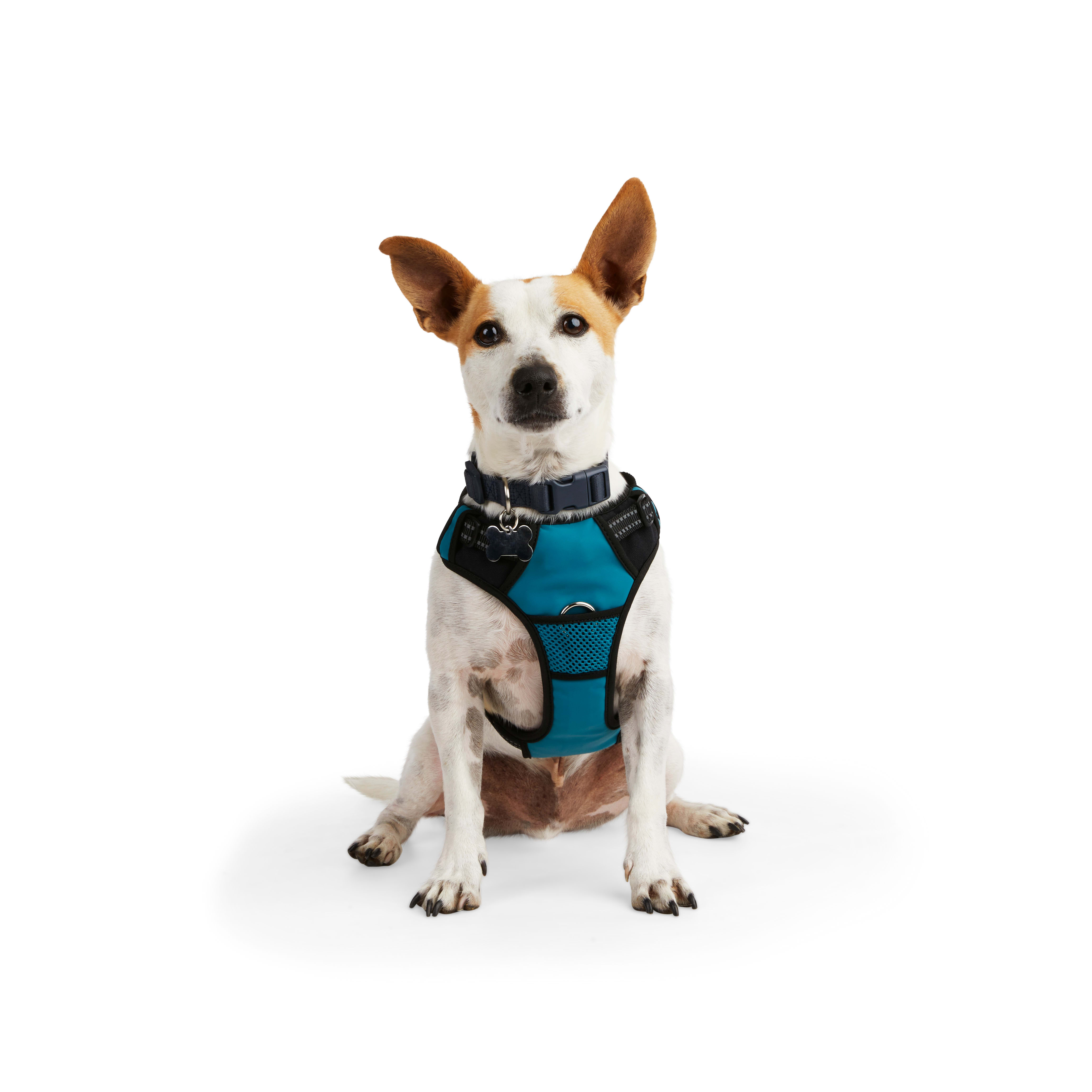 EveryYay Embrace the Pace Teal Reflective Dog Harness， X-Small