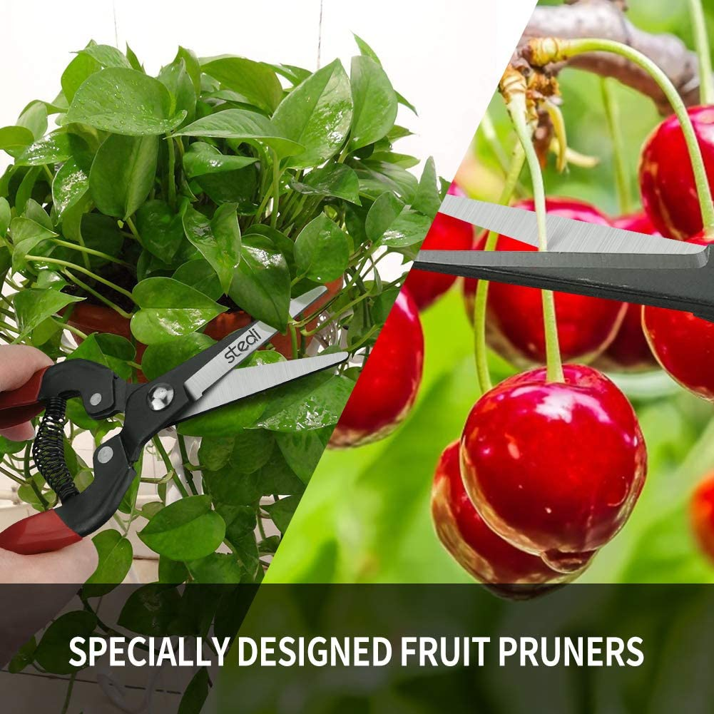 stedi 7.5-Inch Garden Pruners, Straight Nose Hand Pruners for Fruit Pedicels and Detailed Trimming, Garden Stem Clippers