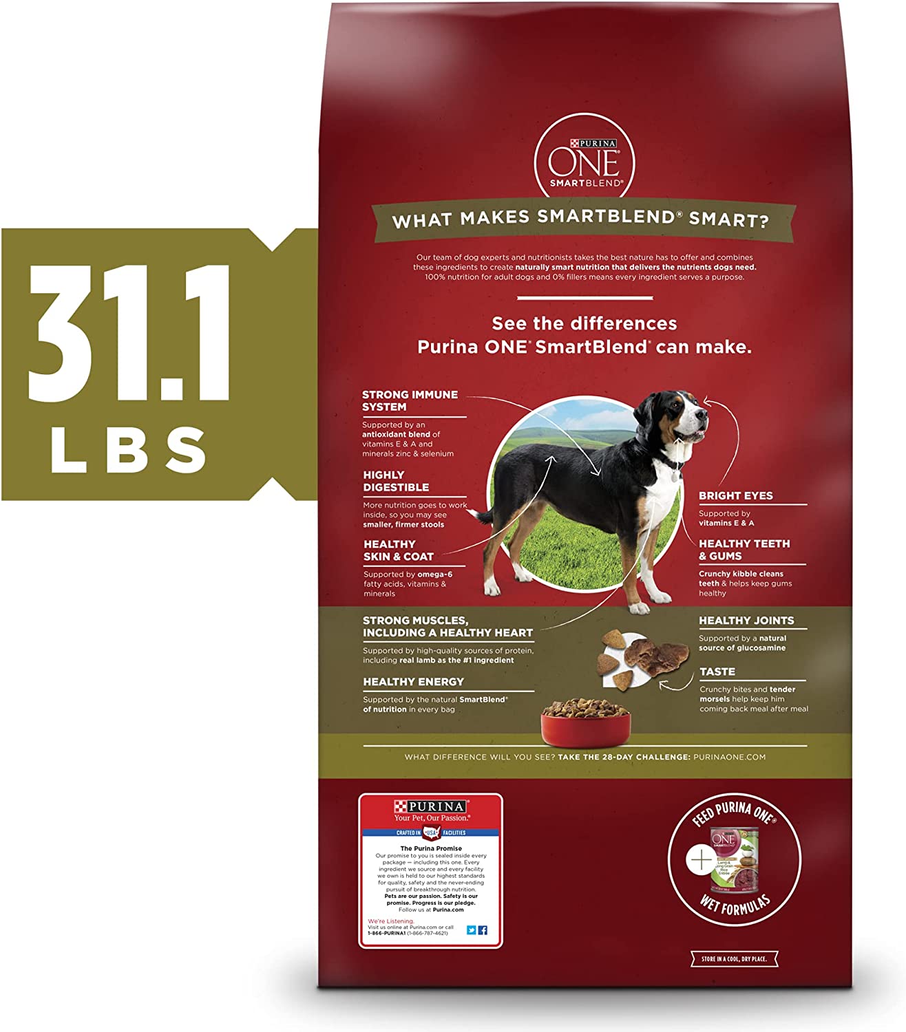 Purina ONE Natural Dry Dog Food SmartBlend Lamb and Rice Formula - 31.1 lb. Bag